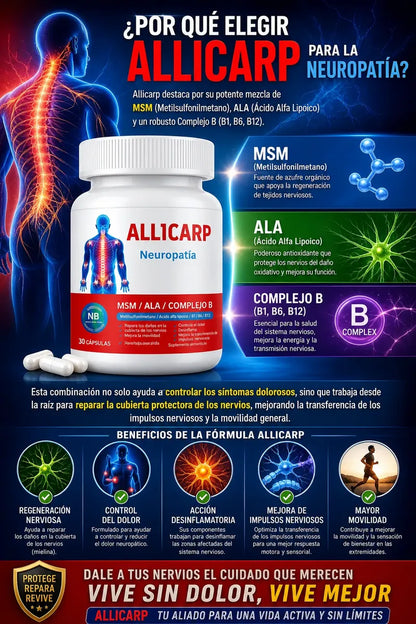 ALLICARP – Articulaciones y Ligamentos