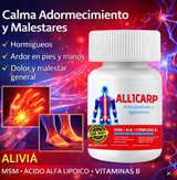 ALLICARP – Articulaciones y Ligamentos